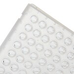PCR Plate, 96-well, low profile, skirted