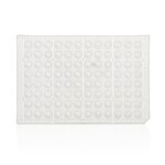 PCR Plate, 96-well, segmented, semi-skirted