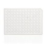 PCR 板,96 孔,半裙边,平面