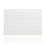 PCR 板,96 孔,半裙边,平面