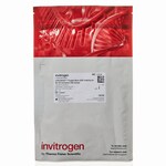 LIVE/DEAD&trade; 可固定蓝色死细胞染色试剂盒，用于紫外激发