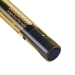 Orion&trade; 碘电极