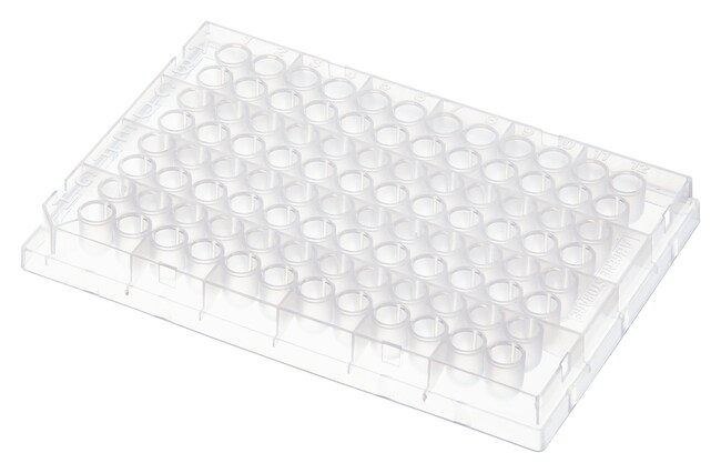 Abgene 96 孔聚丙烯储存微孔板