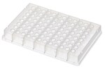Abgene 96 孔聚丙烯储存微孔板