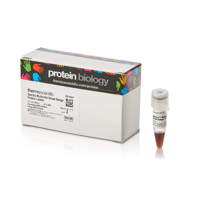 Spectra&trade; Multicolor Broad Range Protein Ladder
