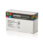 Spectra&trade; Multicolor Broad Range Protein Ladder