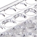 Nalgene&trade; 倾斜试管架