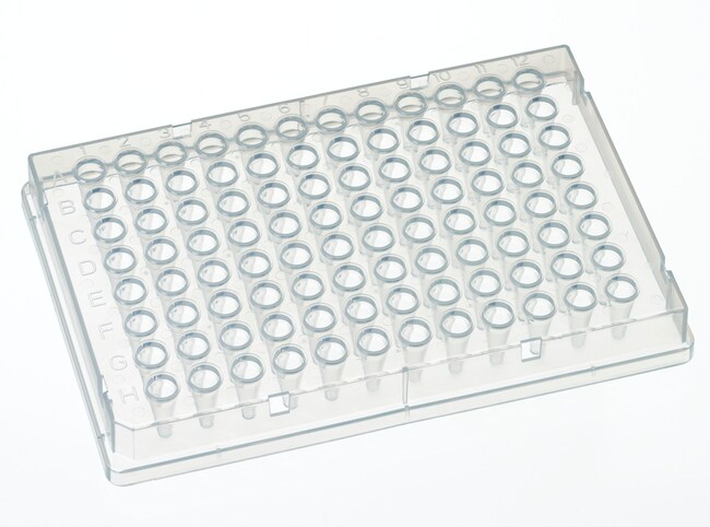 WebSeal 96 孔板（低容量），总 V 形，5.6mm 直径