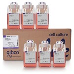 FreeStyle&trade; F17 Expression Medium