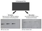 Restore&trade; PLUS Western Blot Stripping Buffer