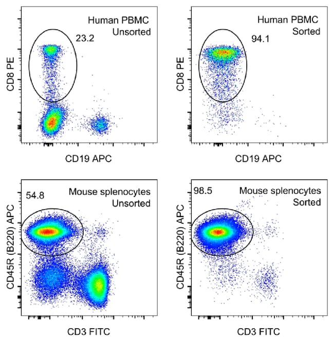 MagniSort&trade; Streptavidin Positive Selection Beads