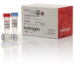 Invivofectamine&trade; 3.0 试剂