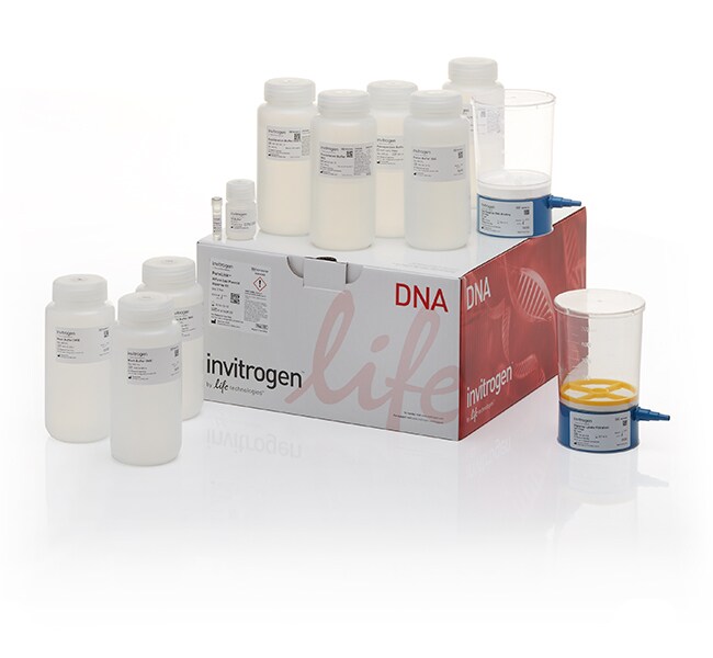 PureLink&trade; HiPure Expi 质粒宏量制备试剂盒