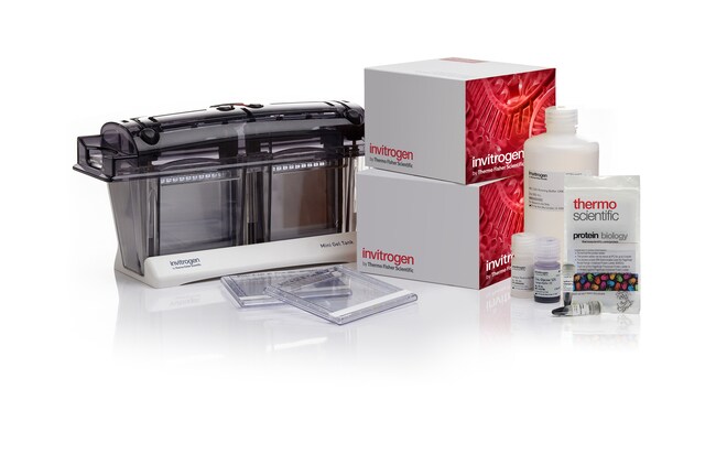 Novex™ Tricine 迎新套装,10-20%