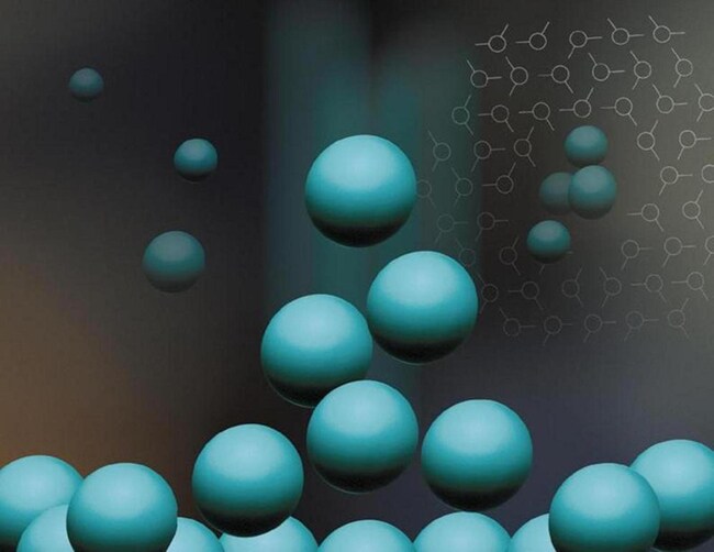 Opti-Bind&trade; 聚苯乙烯硫酸盐微粒