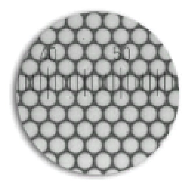 3000 系列 Nanosphere&trade; 尺寸标准品