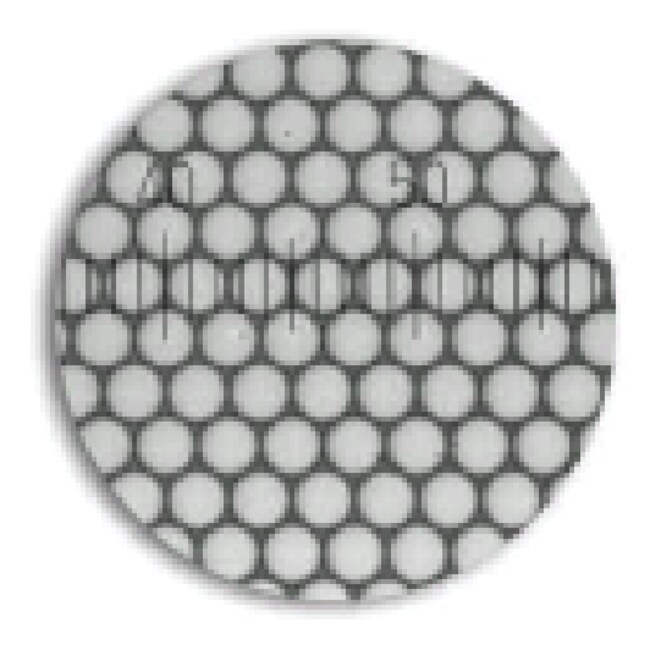 3000 系列 Nanosphere&trade; 尺寸标准品，60nm&plusmn;4nm