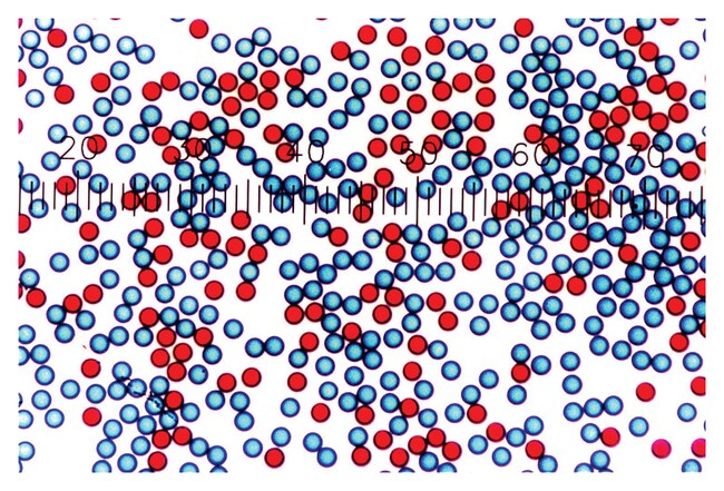 Color-Rich Dyed Carboxylate-Modified Particles