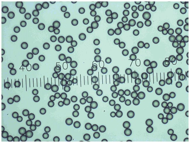 4D 系列干性微球尺寸标准品