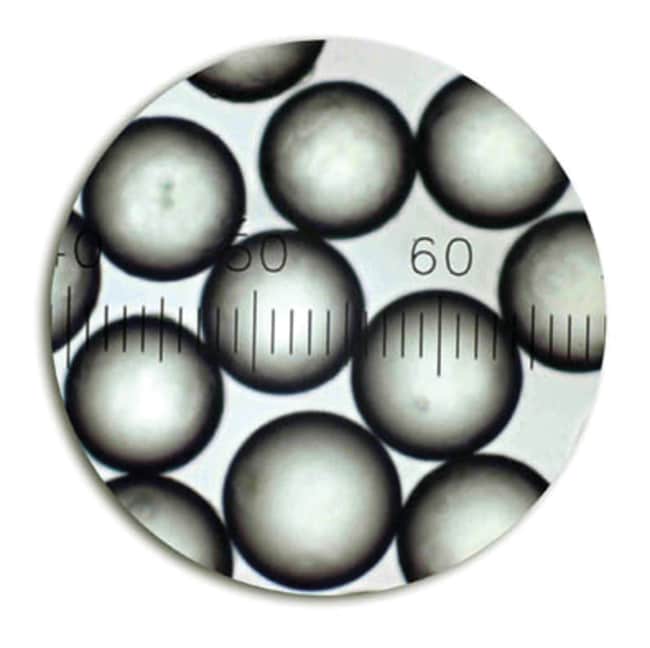 Duke Standards&trade; 2000 系列大小均一聚合物微粒