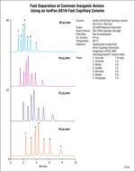 Dionex&trade; IonPac&trade; AS18-Fast IC 色谱柱
