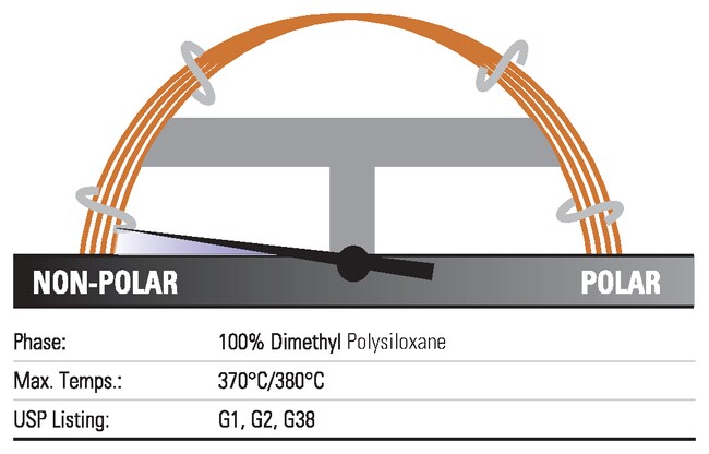 TRACE™ TR-1MS GC Columns