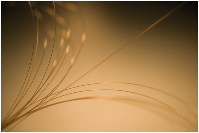 GuardGOLD&trade; Capillary Columns