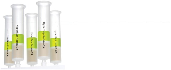 HyperSep&trade; Retain AX 纯化柱