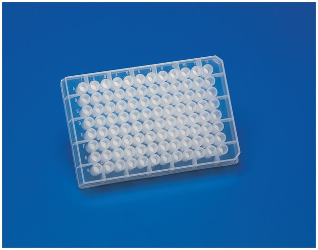 HyperSep™ Filter Plates, 40¦L Bed Volume