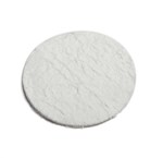 Dionex&trade; 100/150/200/300/350 萃取池过滤器