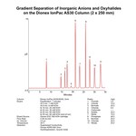 Dionex&trade; IonPac&trade; AS30 分析和保护 IC 色谱柱