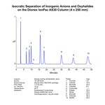 Dionex&trade; IonPac&trade; AS30 分析和保护 IC 色谱柱