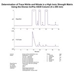 Dionex&trade; IonPac&trade; AS30 分析和保护 IC 色谱柱