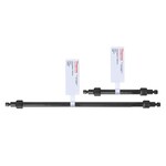 Dionex&trade; CarboPac&trade; PA300-4&mu;m 色谱柱