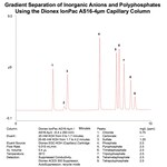 Dionex&trade; IonPac&trade; AS16-4&mu;m 分析、毛细管和保护 IC 色谱柱