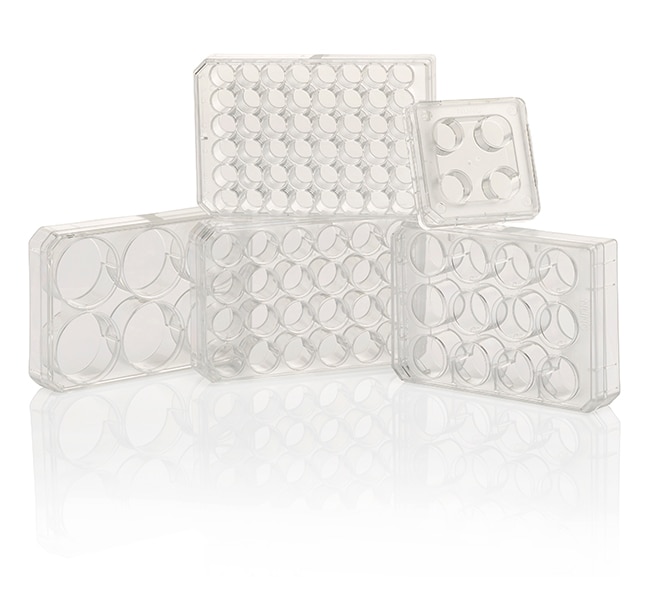 Nunc&trade; Cell-Culture Treated Multidishes
