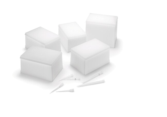 用于 Eppendorf&trade; epMotion&trade; 自动移液系统的自动化吸头