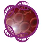 KingFisher&trade; Pure DNA Blood Kit