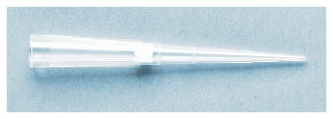 ART™ 自封闭预装板插槽移液器吸头