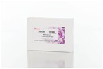 适用于Versette&trade; 和 Novus i 平台的 MSIA&trade; D.A.R.T.'S&trade;