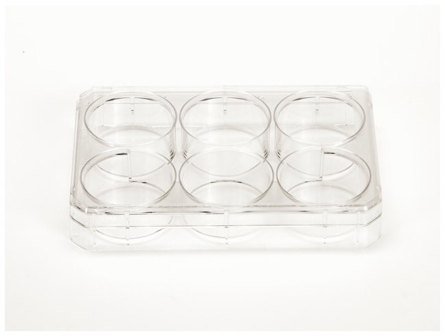Nunc™ Cell-Culture Treated Multidishes