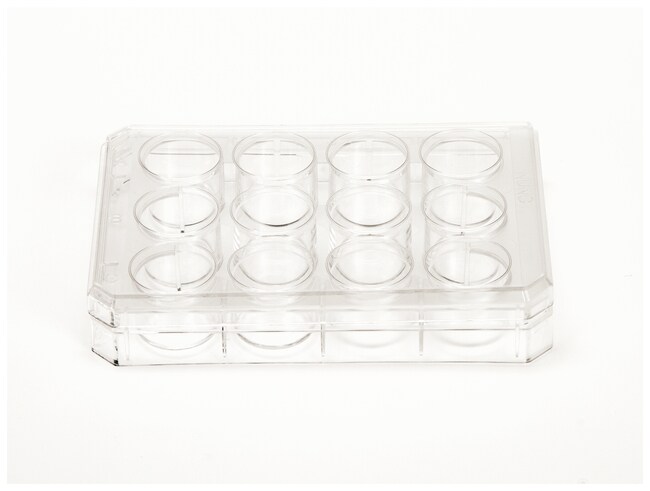 Nunc&trade; 多孔细胞培养板，经细胞培养处理