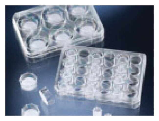Nunc&trade; Polycarbonate Cell Culture Inserts in Multi-Well Plates