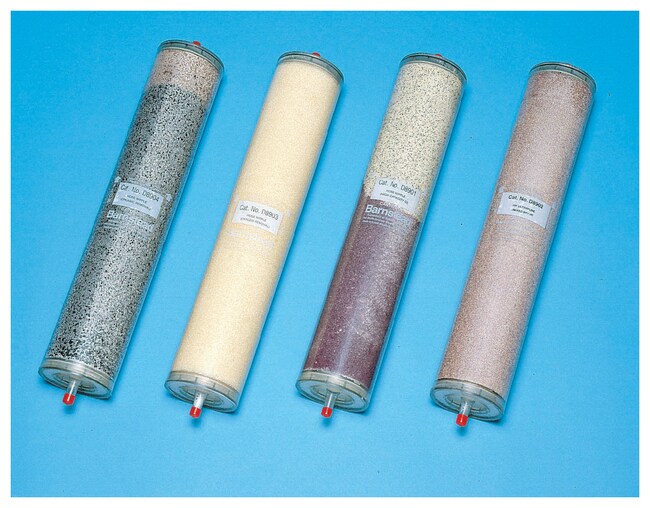 Barnstead™ 软管短接式滤筒