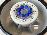 DualSpin Rotor for Medifuge Centrifuge
