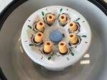 DualSpin Rotor for Medifuge Centrifuge