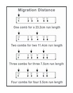 A2 和 A5 大型凝胶电泳系统标准梳