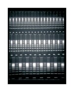 Owl&trade; A5 大型凝胶系统，带有内置再循环装置