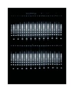 带内置再循环功能的 Owl&trade; EasyCast&trade; B3 凝胶系统