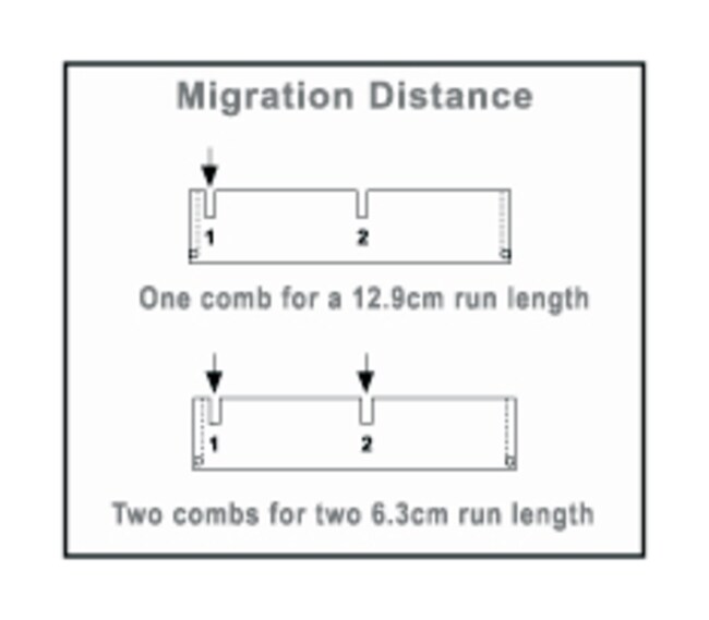 Owl&trade; EasyCast&trade; B2 和 B3 微型凝胶电泳系统电泳梳